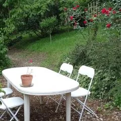 Appart' bucolique en plein centre ville