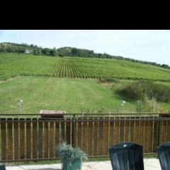 Maison au milieu des vignes