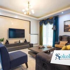 Majestic and spacious apartment near Acropolis