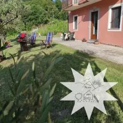 Pizinno CasaPonzi