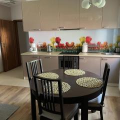 Apartament Amsterdam- Apartamenty Łeba