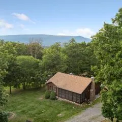 Shenandoah dog friendly cabin in the trees - River access, BBQ, propane fire pit, outdoor dining & lounging, wood fireplace, screened in front porch and gated back deck!