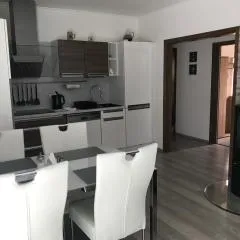 Příjemný apartmán Křoví v rodinném domku se sdíleným bazénem, terasou a zahradou