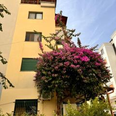 SAG Apartment's