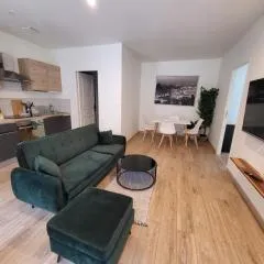 Magnifique et confortable appartement hyper centre