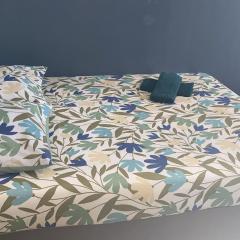 Studio cocooning_Centre-ville_Gare_CHU