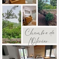 Chambre de l Olivier