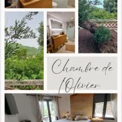 Chambre de l Olivier