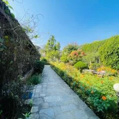 Travellers Jungle Camp