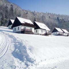 Holiday Home Stárkov by Interhome