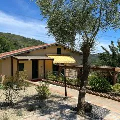 La Casa negli Ulivi, con piscina
