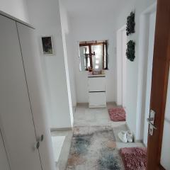 Sokobanja na dlanu
