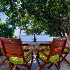 Apartments by the beach Adela Senj