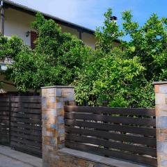 John's House - Chorto Pelion