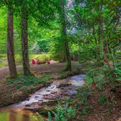 Babbling Brook - 10 Minutes Downtown Blue Ridge GA