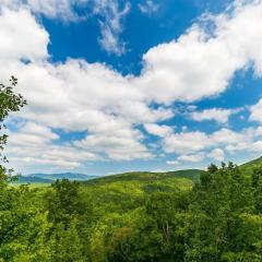 Hawks Hideaway - Full Mountain Views Game Room