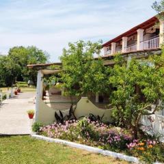 Firefly Studios Georgios 11