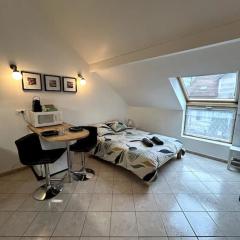Le Mirande Studio indépendant dans maison