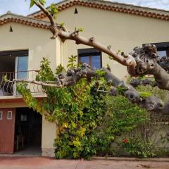 Spacious House With Garden In Downtown