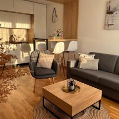 Prirodni Raj-Udoban Sokobanja Apartman