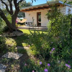 Sa Istera Sardegna