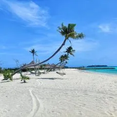 Palm Lagoon