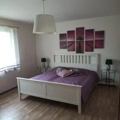 Apartament nad Jeziorem Kamień