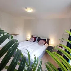 Apartment In The City With Free Parking