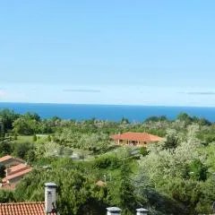 ColleMare