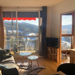 belle vue pied des pistes 6 couchages 2 pièces