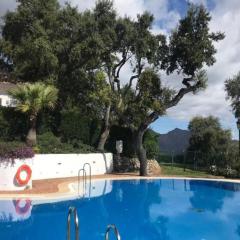 Spacious and modern ocean view apartment Marbella