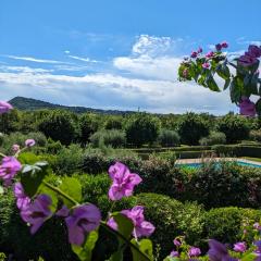 La Fenice Holiday Apartment