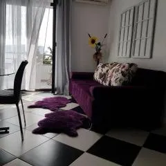 Apartments Marintino