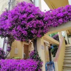 La casa dei Nonni