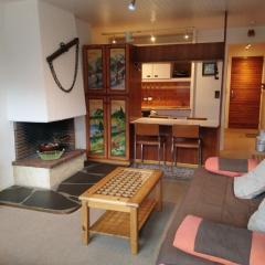 Studio pour 3 à Châtel, proche remontées mécaniques et centre - FR-1-676-110