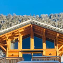 Chalet cosy pour 4 pers. à Châtel, proche télécabine et centre, cuisine équipée, terrasse, garage. - FR-1-676-169