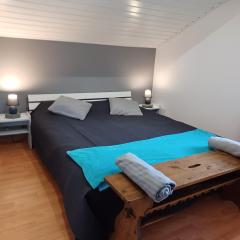 Beautiful apartment duplex in a chalet with garden for 6 in Morillon