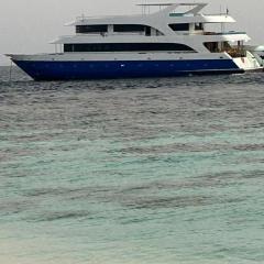 Maldives Safary Tours