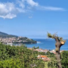 Querce vista mare