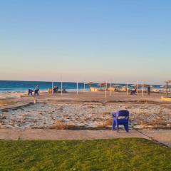 Marseilia Beach 1