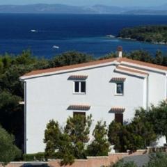 Apartments with parking space Supetarska Draga - Gonar, Rab - 23349