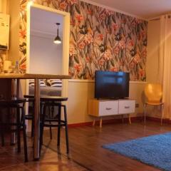 10 min del centro, 500 mt de la playa Pelluco, visita, disfruta y descansa