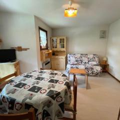 Studio calme pour 4 personnes avec parking privatif - FR-1-692-100