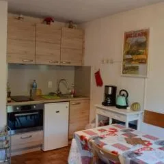 Studio Mezzanine, Châtel - Proche Village et Remontées, 4 Pers., Parking, Balcon, Cuisine équipée - FR-1-676-161