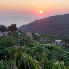 Hara's House Pelion