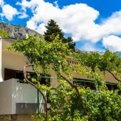Apartments with parking spaces Brela, Makarska - 18417