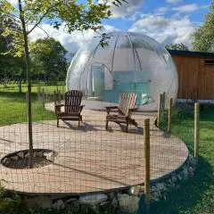 La Bulle des alpagas