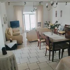 Sunny Central New Classic House