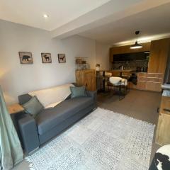 Verbier Apt 2 rooms