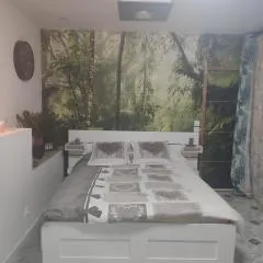 Studio Zen Miramas